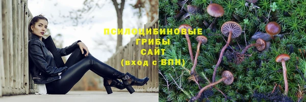 герыч Волоколамск