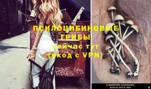 герыч Волоколамск