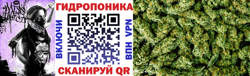 закладки  Салават  Шишки марихуана индика 